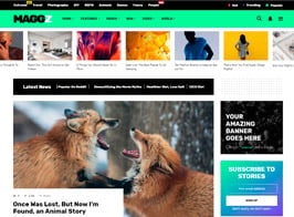 Maggz – Viral Magazine Theme