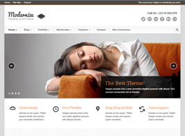 Modernize – Flexibility of WordPress