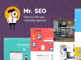 Mr. SEO – A Friendly SEO, Marketing Agency, and Social Media Theme