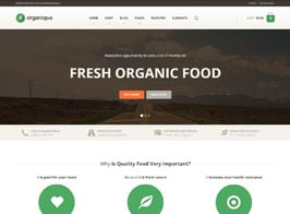 Organique – WordPress Theme For Healthy Food Shop