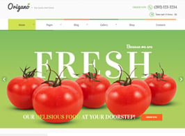 Origano – Organic Food & Eco Farm Theme