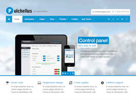 Pulchellus – Responsive 4 Seasons Theme