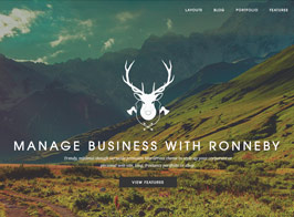 Ronneby – High-Performance WordPress Theme