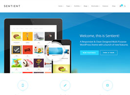 Sentient – Responsive Multi-Purpose WP Theme