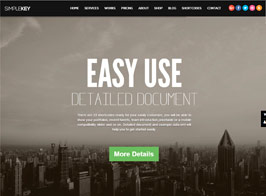 SimpleKey – One Page Portfolio WordPress Theme