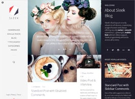 Sleek – Responsive & Creative WordPress Blog Theme