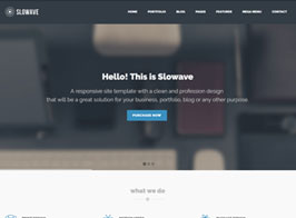 Slowave – Multipurpose Responsive WordPress Theme