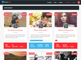 Social Reach – The Crowd-Speaking WordPress Theme