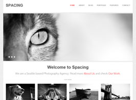 Spacing – Responsive, Minimal & Bold WP Theme
