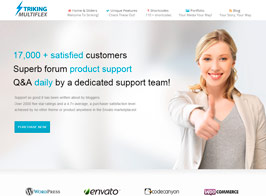Striking – MultiFlex & Ecommerce Responsive WP Theme