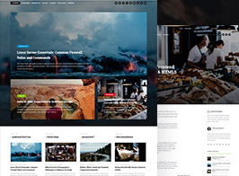 Talon – Responsive WordPress Theme