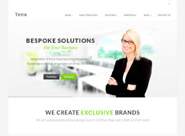 Terra – Responsive Multi-Purpose WordPress Templete