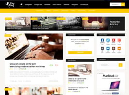 The Frog = Creative News / Blog Magazine & Front-end Submission WP Theme