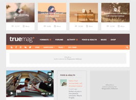 Truemag – AD & AdSense Optimized Magazine