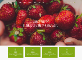 Vegan Food – Organic Store Responsive WooCommerce WordPress Theme