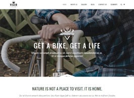 Vigor – A Fresh Multi-Concept Theme