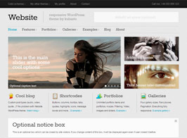 Website – Responsive WordPress Theme