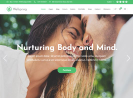 Wellspring – A Health, Lifestyle & Wellness Theme