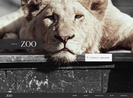 Zoo – Responsive One Page Parallax Theme