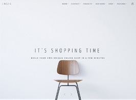 Engic – A Sleek Multiuse Responsive WordPress Theme