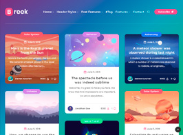 Breek – Minimal Lightweight Masonry AMP Theme for WordPress