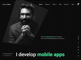Cvio – Personal Portfolio WordPress Theme
