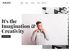 Kaleo – Creative Portfolio WordPress Theme