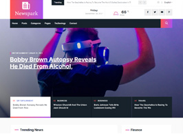 Newsprk – Newspaper WordPress Theme
