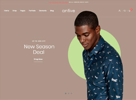 Antive – Minimal and Modern WooCommerce AJAX Theme (RTL Supported)