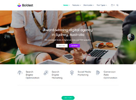 Boldest – Consulting and Marketing Agency WordPress Theme