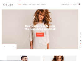 Coleo | A Stylish Fashion Clothing Store WordPress Theme
