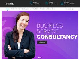Concho – HR, Consulting Services