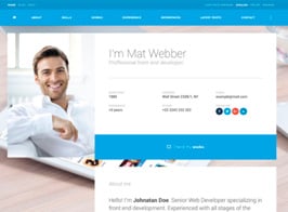 I am Mat – Material Personal Resume / CV vCard WordPress Theme