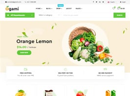 Ogami – Organic Store WordPress Theme