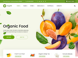 OrgaFit – Organic and Health WordPress Theme