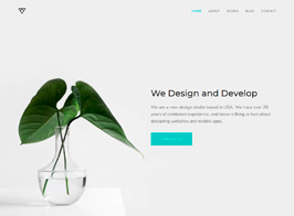 Piroll – Portfolio WordPress Theme