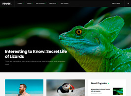 Rever – Clean and Simple WordPress Theme
