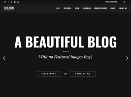 RibTun – WordPress Blog Theme For Writers