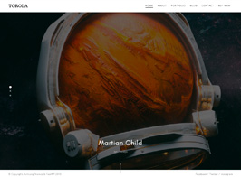 Torola Modern Photography Theme