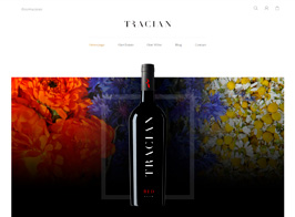 Tradent – Cryptocurrency, Bitcoin WordPress Theme