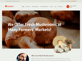 Umberto – Mushroom Farm & Organic Products Store WordPress Theme