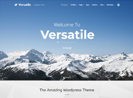 Versatile – Responsive Multi-Purpose WP Theme