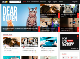 ViralVideo – Responsive Magazine WordPress Theme