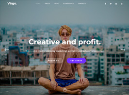 Virgo. – Multipurpose Multi-Concept WordPress Theme