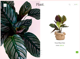 Plant – Gardening & Houseplants WordPress Theme
