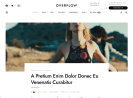 Overflow – Contemporary Blog & Magazine WordPress Theme