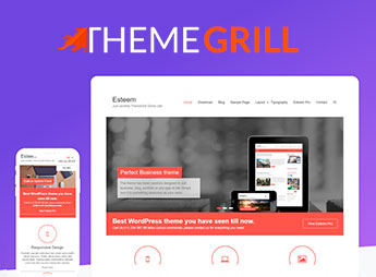 ThemeGrill Esteem Pro – Vintage WordPress Theme