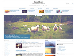 ThemeIsle Broadsheet Classical WordPress Newspaper Theme