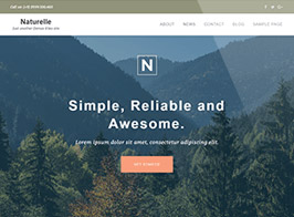 Themeisle Naturelle Pro WordPress Theme