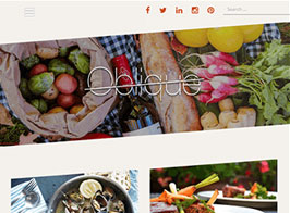 Themeisle Oblique Pro WordPress Theme